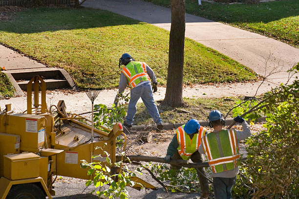 Lawn Drainage Solutions in Falmouth Foreside, ME